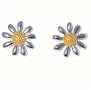 Sterling Silver and Gold Plated Large Studs
