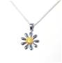 Sterling Silver and Gold Plated Pendant