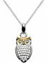 Sterling Silver Gold Plated Pendant